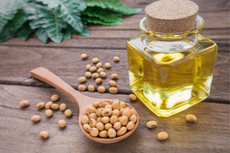 Soybean oil in a bottle with a spoon of soybeans on the countertop